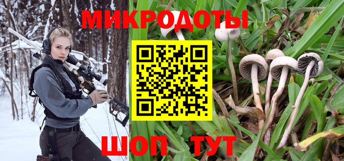 Псилоцибиновые грибы Magic Shrooms Кировск